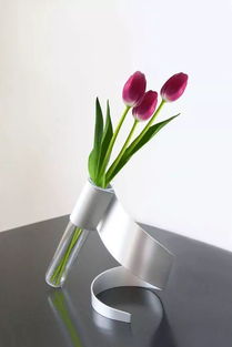 做一个专业的 花瓶 好么