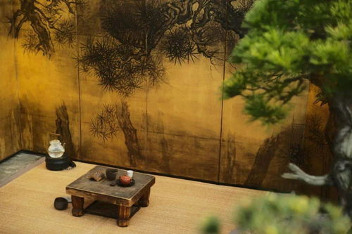 感悟丨懂点美学，生活不再潦草