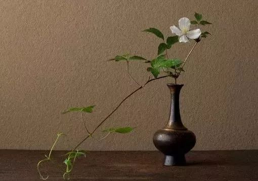 日式传统美学三昧 物哀、幽玄、侘寂中的生命哲学