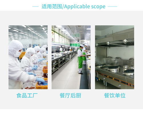 清洁的匠心 食品厂毛刷中的美学智慧